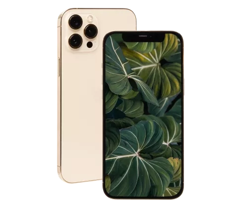 numobile_iphone12promax_gold.png