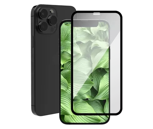iPhone 13 Pro Max Graphite with free screen protector