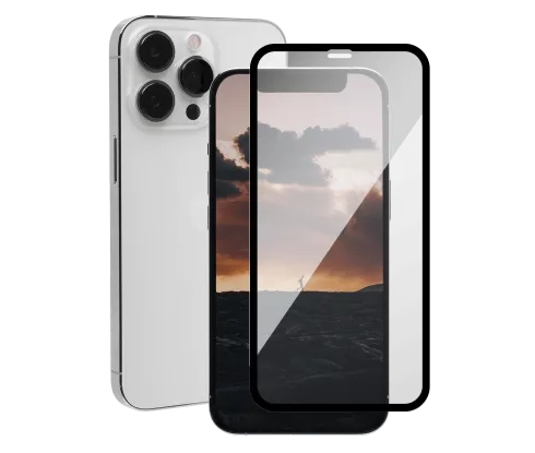  iPhone 13 Pro Silver with free screen protector